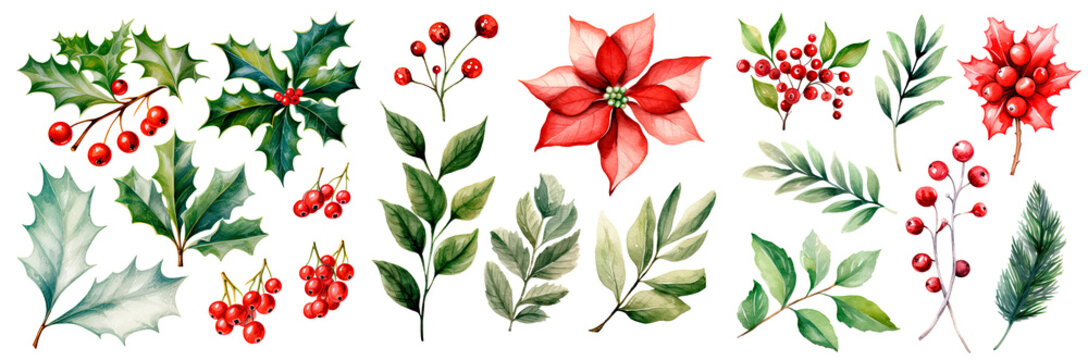 Set of watercolor christmas poinsettia and leaves, isolated on transparent background