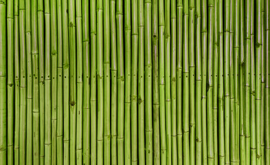architectural green bamboo wall for japanese mood decoration, interior or exterior design. old green bamboo plank fence texture used as background with blank space for design.