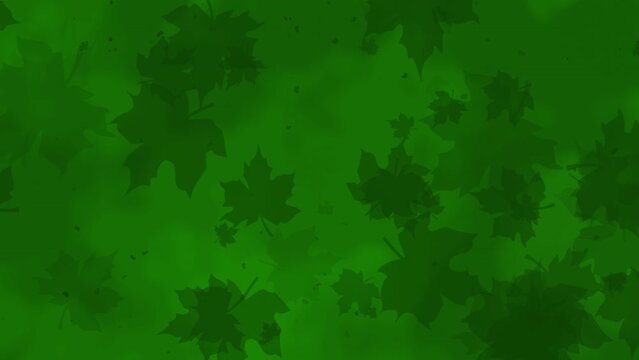 Green abstract autumn monochrome background with flying maple leaves. Looped animation. Copy space.