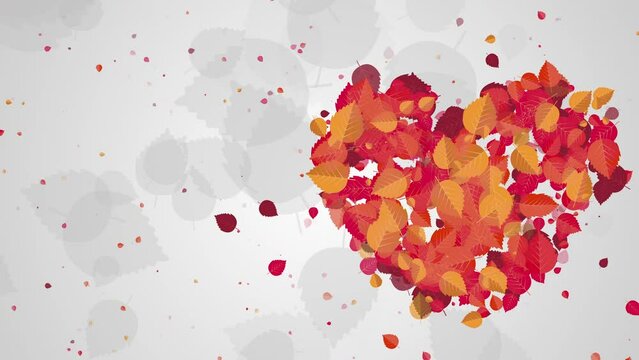 Red autumn leaves in the shape of a heart on a white background. Looped animation.