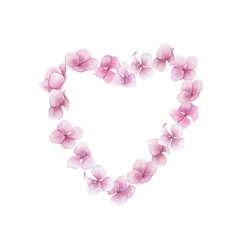 Watercolor print  with pink hydrangea heart. Watercolour hortensia. Floral design on white background. Hand drawn isolated  illustration