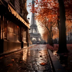 Zelfklevend Fotobehang autumn landscape of Paris, park fountains, fallen leaves © Павел Троц