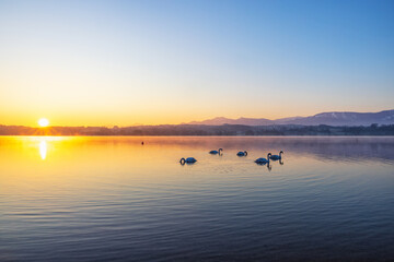 Majestic Lakes - Collection Miscellaneous Lakes