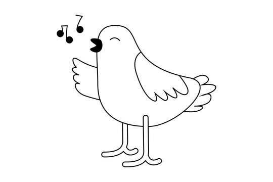 Canary bird singing song with musical notes. Vector black white outline illustration isolated on white background. 