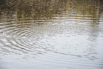 ripples in water