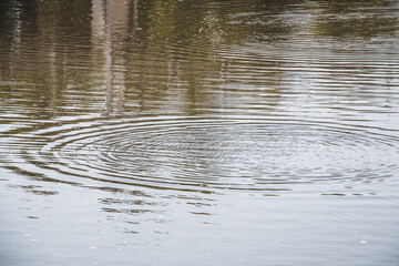 ripples in water