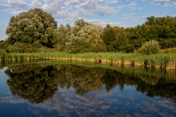 Fototapeta na wymiar Summer tranquill water nature landscape