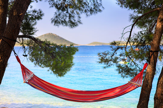 old hammock on two trees overlooking the sea