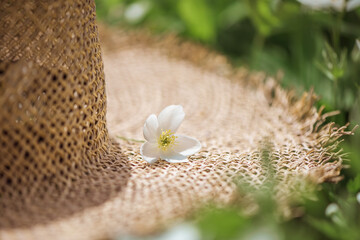 white flowers on a straw hat. nature, summer time, sunlight, compliment