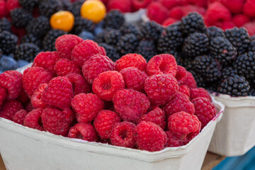Fresh fruits raspberries, strawberries and blueberries are in paper bowls on the counter. The fruit is intended for sale on the market.
