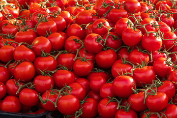Red Cherry tomatoes in box for sale