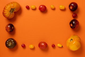 Frame of colorful yellow, red, black tomatoes on orange background, top view