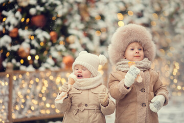 Boy and girl in beige winter clothes on Christmas fair with two samoyed dogs