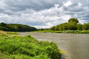 rural landscape with the Warta river and forest during summer - obrazy, fototapety, plakaty