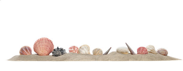 Sea shells in sand pile isolated on white, side view