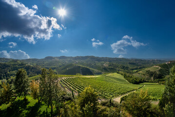 Fototapeta na wymiar Landscape in the Langhe hills, with a view of vineyards in the typical Barolo wine area in Serralunga Alba, Piedmont, Italy. Sun on blue sky and clouds