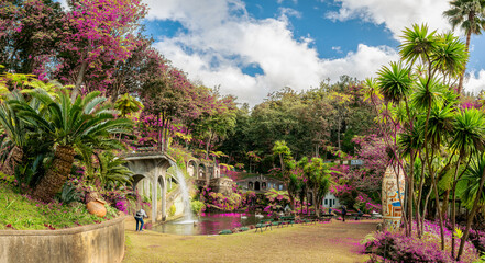Landscape with tropical garden in the Monte Palace, Funchal, Madeira island - obrazy, fototapety, plakaty