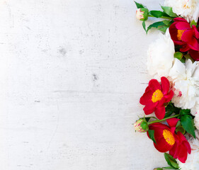 Fresh peony flowers