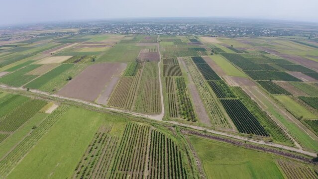 Backward reveal aerial shot of farm fields on sunny summer day. Araks, Armavir Province, Armenia.