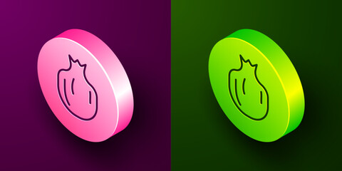 Isometric line Pomegranate icon isolated on purple and green background. Garnet fruit. Circle button. Vector