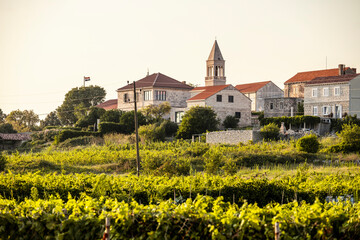 Wonderful vineyards surrounding old Vela Glavica hill at the town of Lumbarda on Korcula island, Croatia with St. Rocco church rising above stone houses during summer sunset - obrazy, fototapety, plakaty