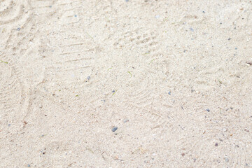 A background image of soil, sand, desert sand seen from the front in a flat manner.