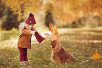 Girl in brown coat walking in the park in autumn with dog spaniel 