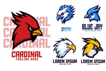 Fototapeta premium Blue jay, cardinal, hawk and other bird head logos for sport and esport teams. Blue bird, yellow bird, red bird, falcon, eagle animals logo template. Logo icon badge emblem collection.