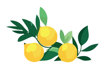 Fresh, ripe citrus fruit a healthy, refreshing summer icon