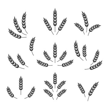 Flat Vector Agriculture Wheat Icon Set Isolated, Organic Wheat, Rice Ears. Design Template for Bread, Beer Logo, Packaging, Labels
