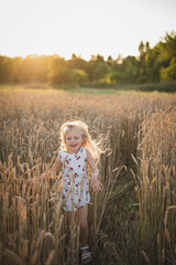 A little blonde girl runs through the triticale field