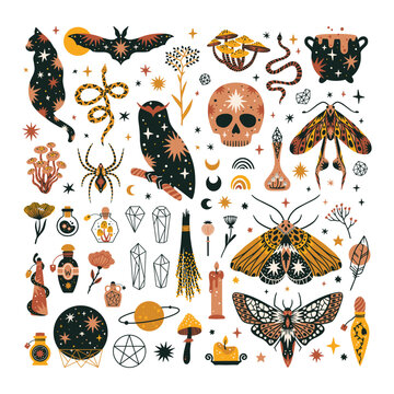 Set of magical animals and witchcraft design elements. Mystical themed hand drawn vector illustrations.
