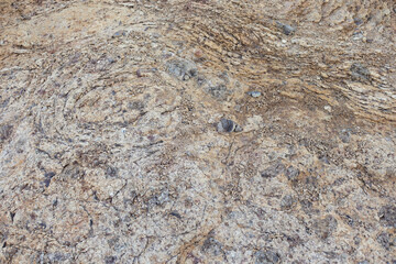 Background image of details on the rock seen straight ahead.