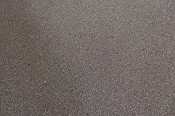 A background image of soil, sand, desert sand seen from the front in a flat manner.