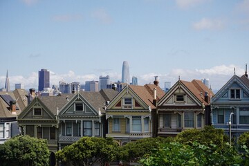 Close-up of Painted Ladies with San Francisco Skyline in the Background
