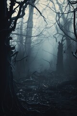 Obraz premium Misty spooky forest background, gloomy trees in scary horror foggy woods Happy Halloween dark night creepy nature mist fantasy atmosphere mystery dramatic landscape fall nightmare scenery. Copy space