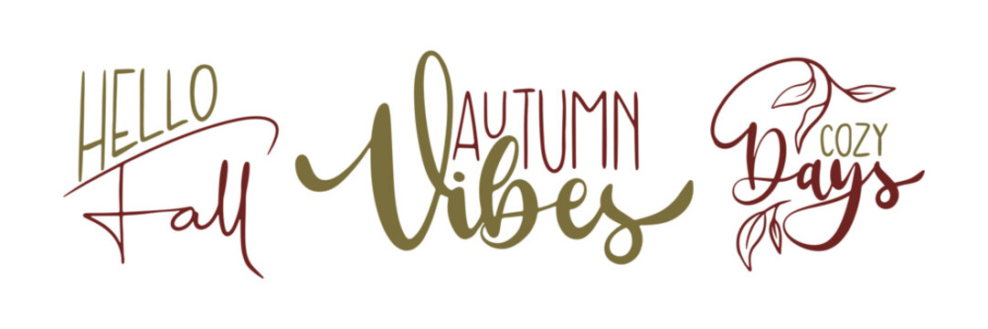 Hand lettering set for autumn,  fall, harvest time handwritten. Calligraphy thanksgiving or autumn wishes for holiday greeting card, banner, poster, web, social media, pattern and backgrounds. 