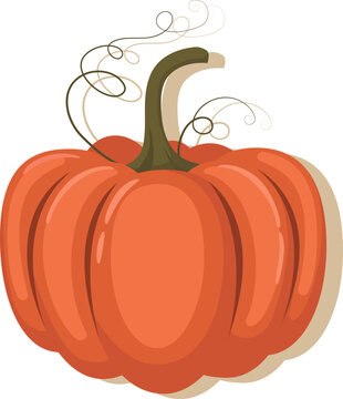 Autumn harvest pumpkin, isolated on  orange background. Colorful thanksgiving illustration. Fall design element. Objects for design, cards, banners, flyer, social media, web and decoration.