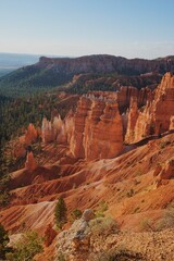 Panoramic View of Hoodoos and Pine Forest in Bryce Canyon National Park
