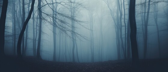 Obraz premium Misty spooky forest background, gloomy trees in scary horror foggy woods Happy Halloween dark night creepy nature mist fantasy atmosphere mystery dramatic landscape fall nightmare scenery. Copy space