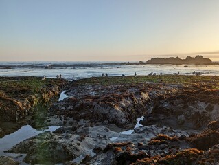 beautiful sunset over the ocean, sunset on the beach, breathtaking sunset ocean, sunset over the sea