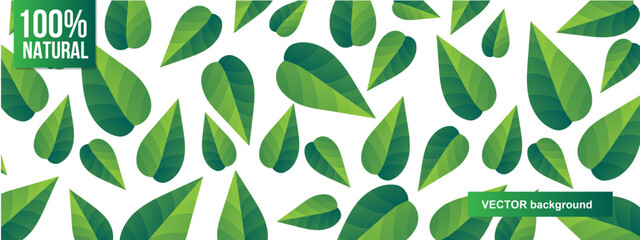 Abstract  Gradient Green Stylised Leaves on White background. Botanical Pattern.