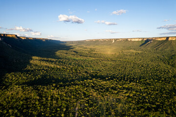 big valley with Cerrado brazilian rainforest
