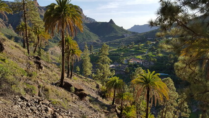 Breathtaking valley adorned with swaying palm trees, framed by majestic mountains on the horizon. A picturesque oasis awaits.