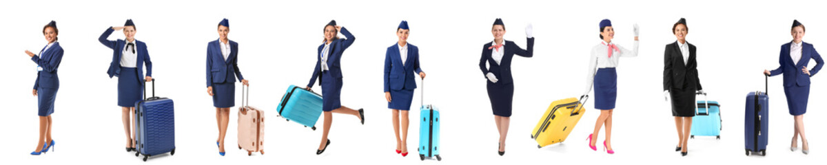 Set of many beautiful stewardesses on white background