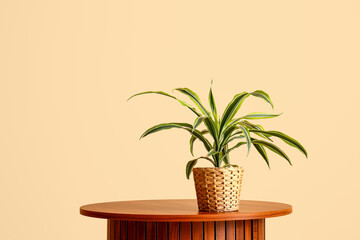 Green houseplant on table near beige wall