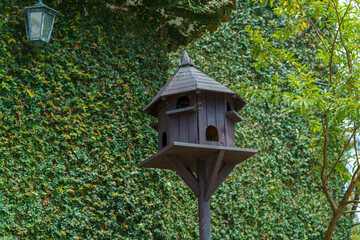 casa de aves