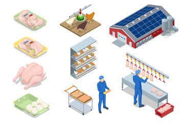 Isometric set icons of Poultry Farming concept. Poultry farm building, production of chicken meat, eggs, poultry products. Chicken on an organic farm, freely grazing on a meadow. Organic farming.
