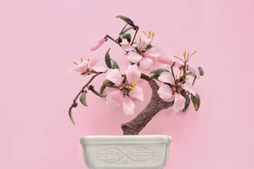 Selbstklebende Fototapeten Artificial sakura bonsai tree on ceramic pot with pink background. Glass cherry blossom for home decor. Spring flower branch in scandi style interior. Hygge design. Zen, relax concept. Copy space © Lidia
