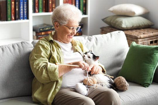 Senior woman with cute cat and knitting needles resting at home